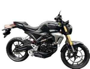 Quality Oil Cooled 250cc Enduro Dirt Bike Gas / Diesel Fueled Customized Color wholesale