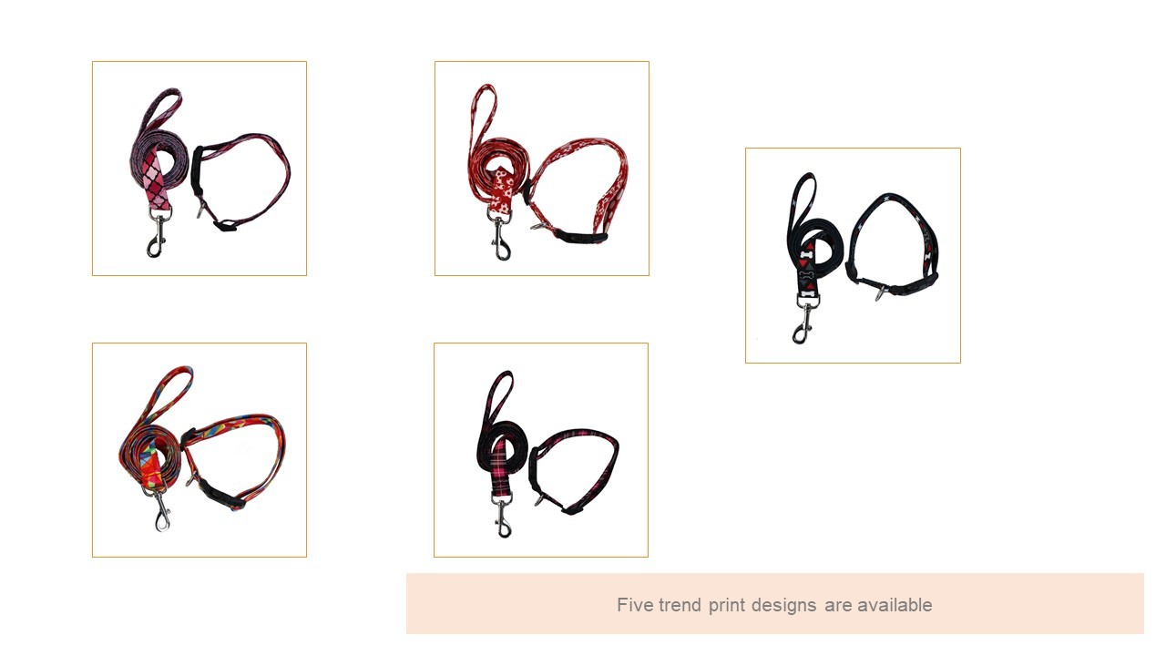 Metal Buckle Seatbelt Pet Collars Leashes 2.5CM Width OEM For Dog
