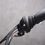 200 Watt 12 Inch Electric Bike Portable Battery 300 Lb Weight Limit 30 Km/H