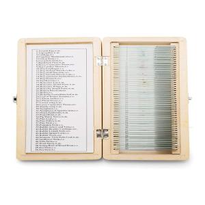 Quality Human Dental Histology Wooden Box 50pcs Prepared Microscope Slides wholesale