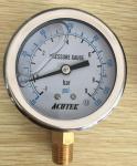 En837-1 Yn-100 Oil Filled Marine Industrial Pressure Gauge Direct Mounting