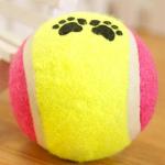 paw print tennis ball-2pack