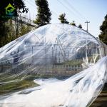 Greenhouse Tunnel Single-span Plastic Film for Agricultural Vegetables and