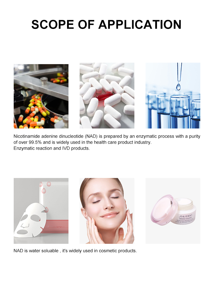 Professional 99% Purity NAD Nicotinamide Adenine Dinucleotide Powder CAS 53-84-9