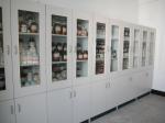 Customized Tall Storage Computer Lab Furniture , 2 Door Chemical Storage Cabinet