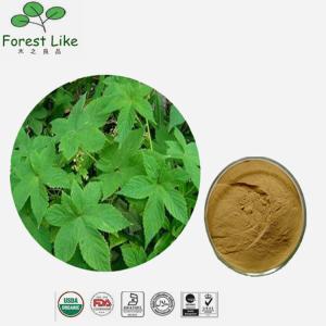 Quality Dietary Supplement Nature Plant Brown Herbal Devils Claw Leaf Extract wholesale