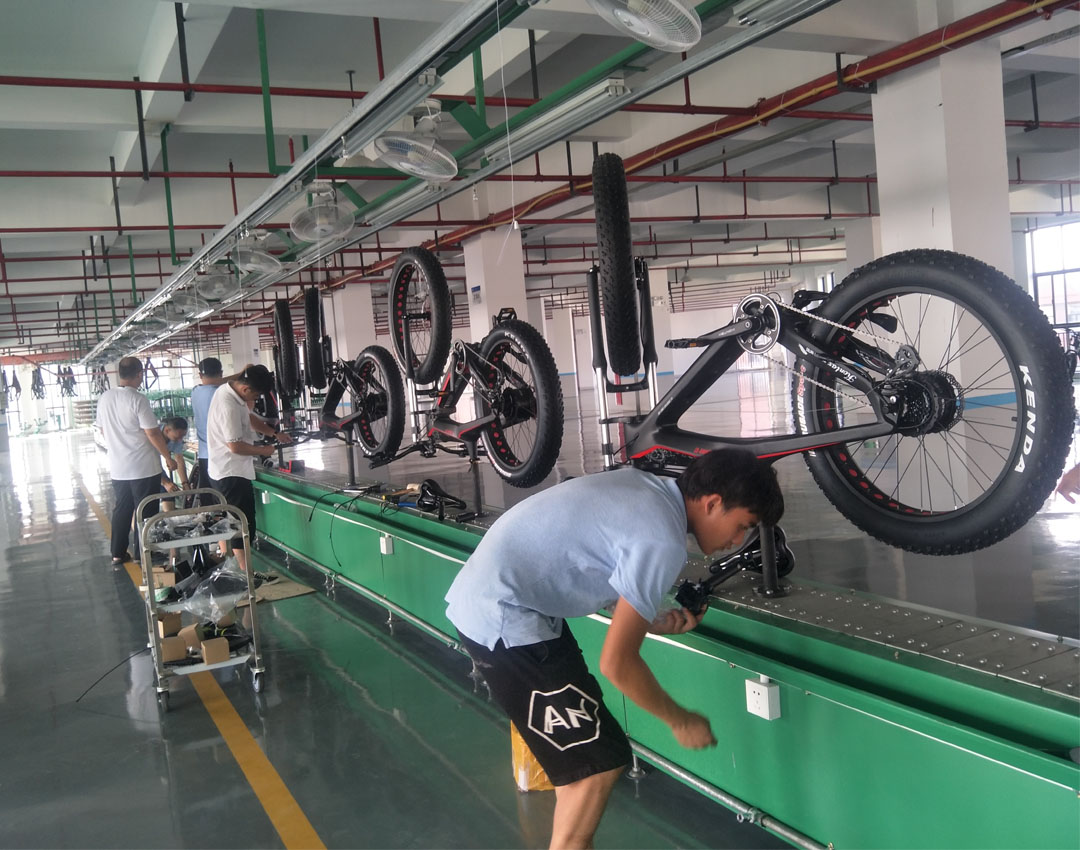 Domanca Carbon Fiber Fat Tire Electric Bike Off eBike 750w with JELLY POWER Battery