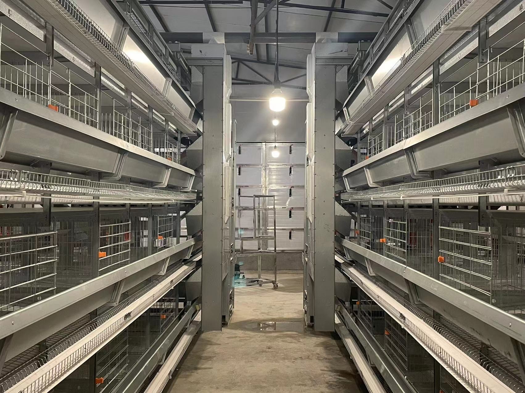 Corrosion Resistant 5 Tiers Chicken Farm Layer Hen Cages