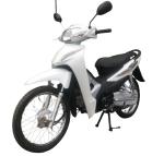 Chrome Vintage Trail Sportbike Dirt Bikes 110cc Motorcycle Super CUB Bike