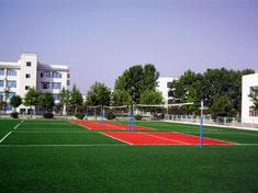Quality 7000 DTEX PE Total Effect Artificial Turf / Lawn Sports for Badminton / Hockey Venues wholesale
