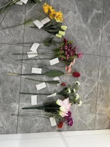 Quality Artificial plants wholesale