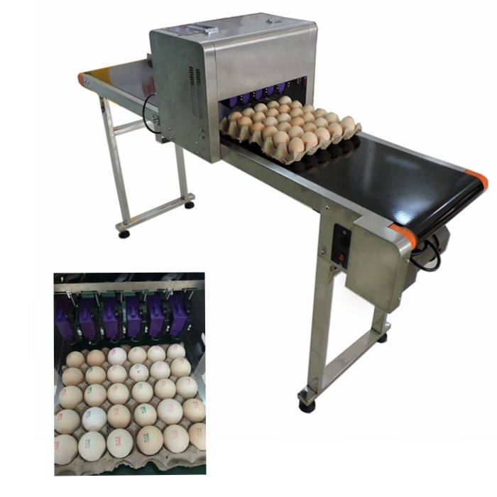 High Performance Egg Marking Equipment With 0 - 5mm Printing Distance