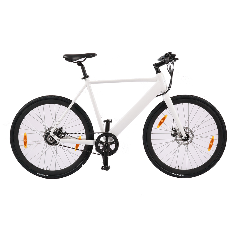 Standard Style Carbon Belt Drive EBike LCD Display Electric Bike with 9.6 AH Capacity