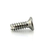 EJOT Stainless Steel Torx Flat Head Cutting Tail Thread Forming PT Screw for