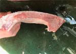 Delicious Seafood 500g 600g Deep Frozen Yellowfin Tuna Kama