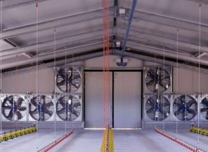 Quality Chicken Farm Cooling Fan System wholesale