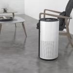 Homefish OEM Luchtreiniger Wholesale Air Purifier Smart Hepa Purificador De Aire