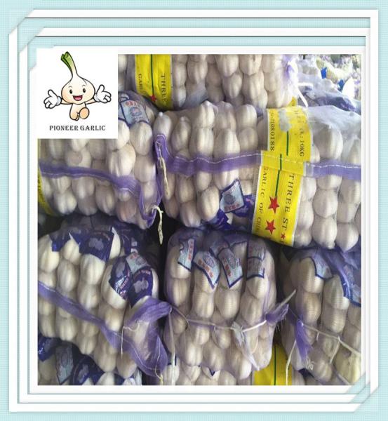 Cheap Price Jinxiang New Crop Pure White Garlic Chinese Pure White Garlic From