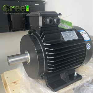 Quality IP54 Rated 750W-5MW Permanent Magnet Motor wholesale