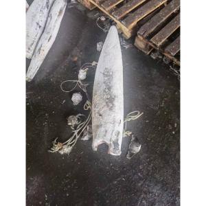 Quality HGT Individual Quick Freezing IQF 25kg ＋ Frozen Sword Fish For sale wholesale