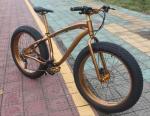 Private Label OEM 1000W 29 Inch Electric Mountain Bike