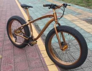 Quality Private Label OEM 1000W 29 Inch Electric Mountain Bike wholesale