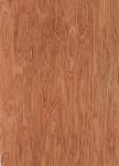 Sliced Natural Bintangor Wood Veneer Sheet