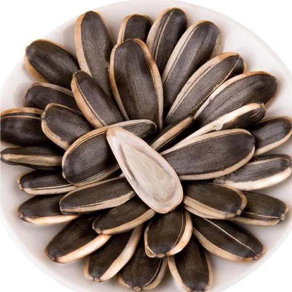 Amazon’s best-selling products Giant Sunflower Seeds For Bird Wholesale 25kg Bag