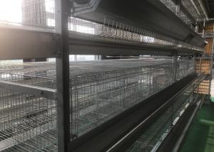 Quality Industrial Poultry Farm Feeding System Comfortable Cage Poultry House wholesale
