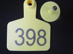 Quality sell animal cattle ear tag,laser ear tag,cow ear tag,material SGS certificate wholesale