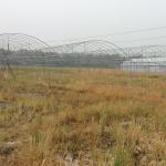 Hydroponic Poly Film Multi Span Greenhouse