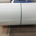 Al Mg Mn Prepainted Galvanized Steel Coil CGLCC CGLCH