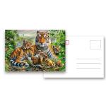 Animal 3d Lenticular Postcards / Custom Lenticular Cards Tear - Proof