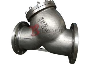 Quality Super Duplex Stainless Steel Y Type Strainer A995 5A 12 Inch 150LB Flange DSS Strainer wholesale