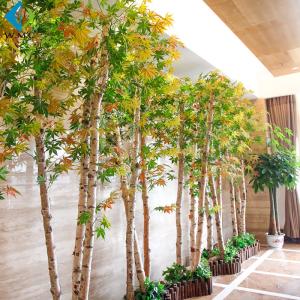 Quality Indoor Fake Birch Tree For Window Display Decoration 5-10 Years Life Time wholesale