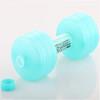 New Injection Water Dumbbells for Fitness Aquatic Barbell Gym Weight Loss