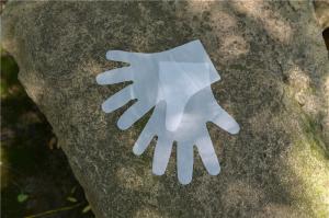 Quality Thick Latex Free Kitchen Disposable TPE Gloves wholesale
