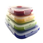 Custom Hot Selling Microwave Safe Collapsible Lunch Box Freezer Dishwasher