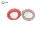 Melt Point 102 - 115 Degree PES Powder Polyester Hot Melt Adhesive Powder For