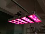 150W Round & rectangle grow light led plant grow light led grow lights, led grow