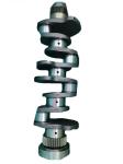 Cummins Diesel Engine 5319369 Crankshaft For ISLe 8.9L