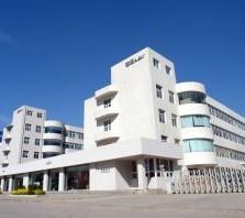 Dongguan Packing Buckle Straps Products Factory