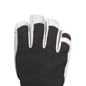Quality Polyfill Insulation Warm Winter Ski Gloves Windproof Waterproof wholesale