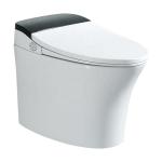 Automatic Operation Tankless Auto Wash Toilet With 305MM/400MM Roughing - In