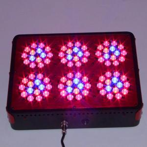 Quality 200W Stealth Grow LED Lighting Indoor Garden Starter LED grow light Kit wholesale