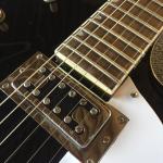 Hollow body jazz electric guitar,Double F hole, tremolo system, black high