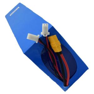 Quality 2200Wh Lithium Ion Bike Battery Pack wholesale