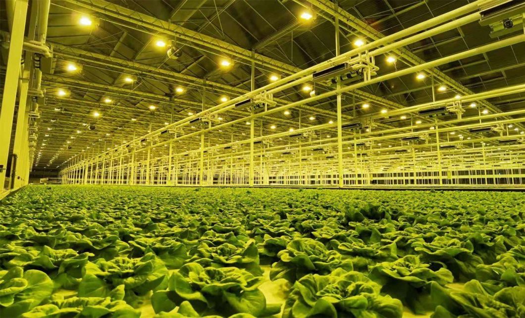 Humidity-Controlled Planting Facility by Juxiang