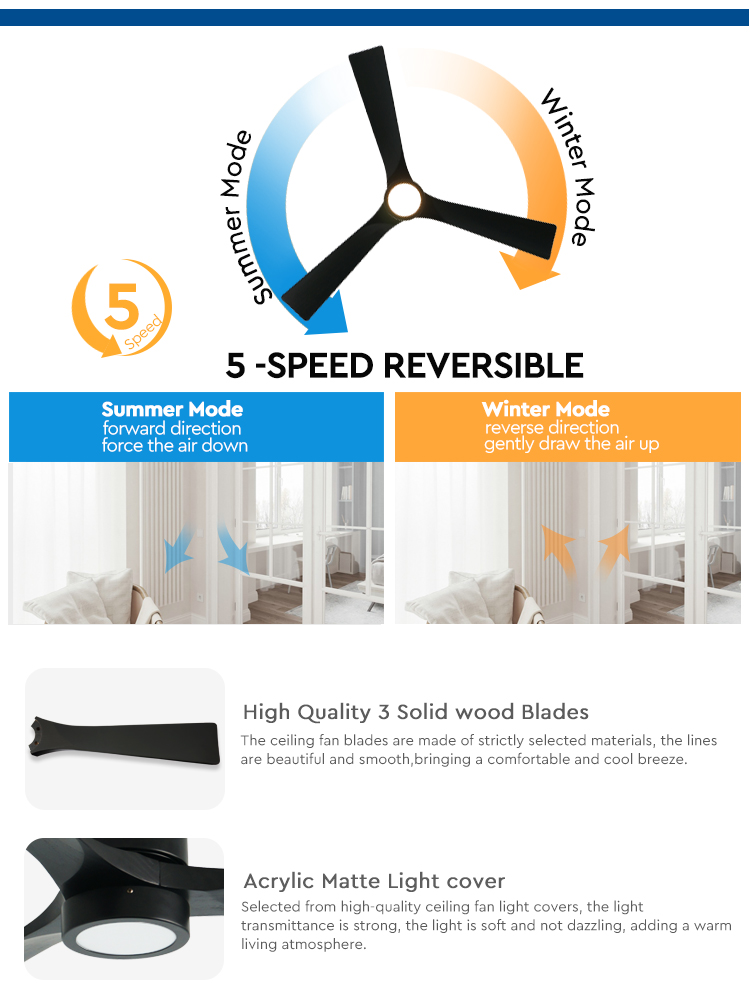 ceiling fan with light