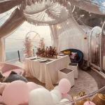 3.5m Bubble Tent House Flame Retardant Bubble Dome Tent For Hotel